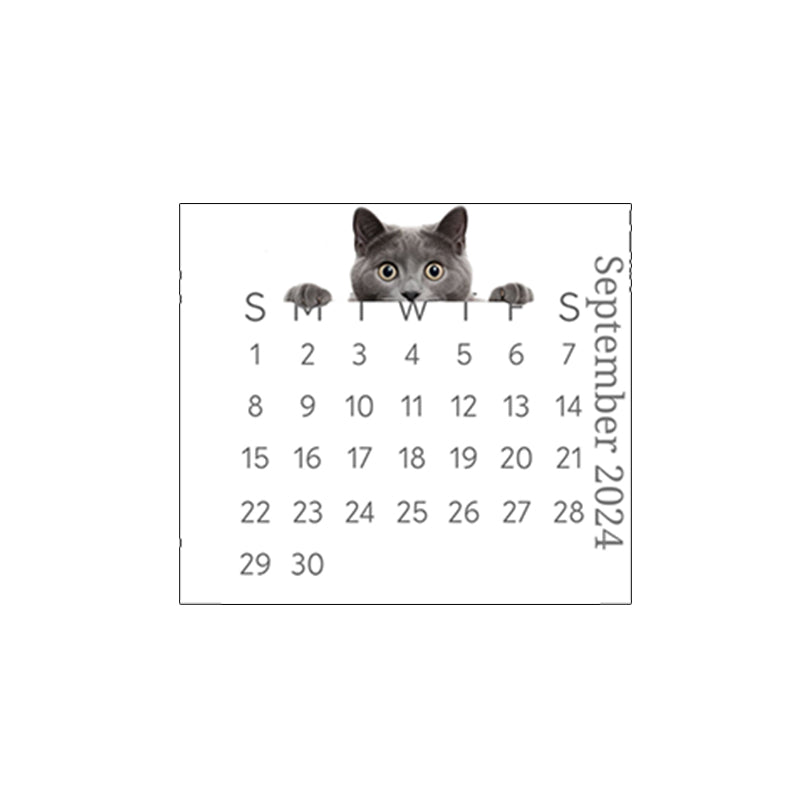 🐱2024 skrivebordskalender med kikkekatt