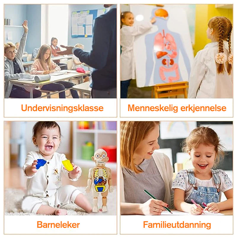 Barneopplysningsleker