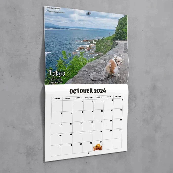 😆Århundrets morsomste kalender|"Kunstnerisk uttrykk" av pelskledde venner