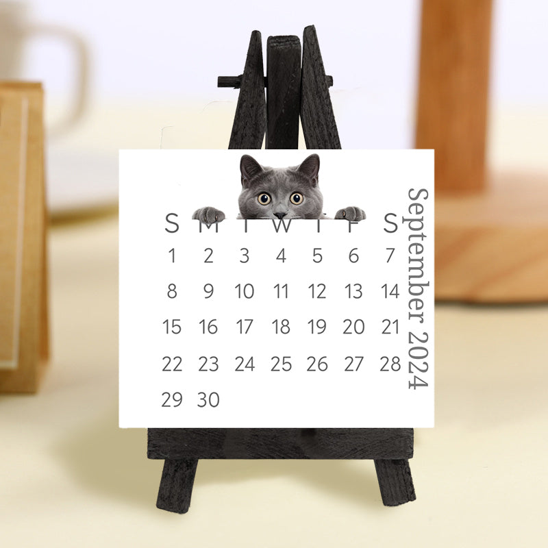 🐱2024 skrivebordskalender med kikkekatt