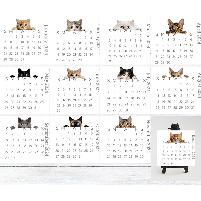 🐱2024 skrivebordskalender med kikkekatt