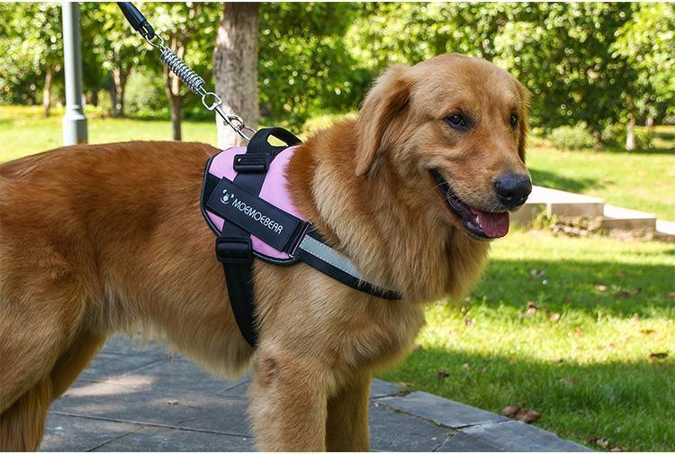 Reflective all-in-one No Pull Dog Harness