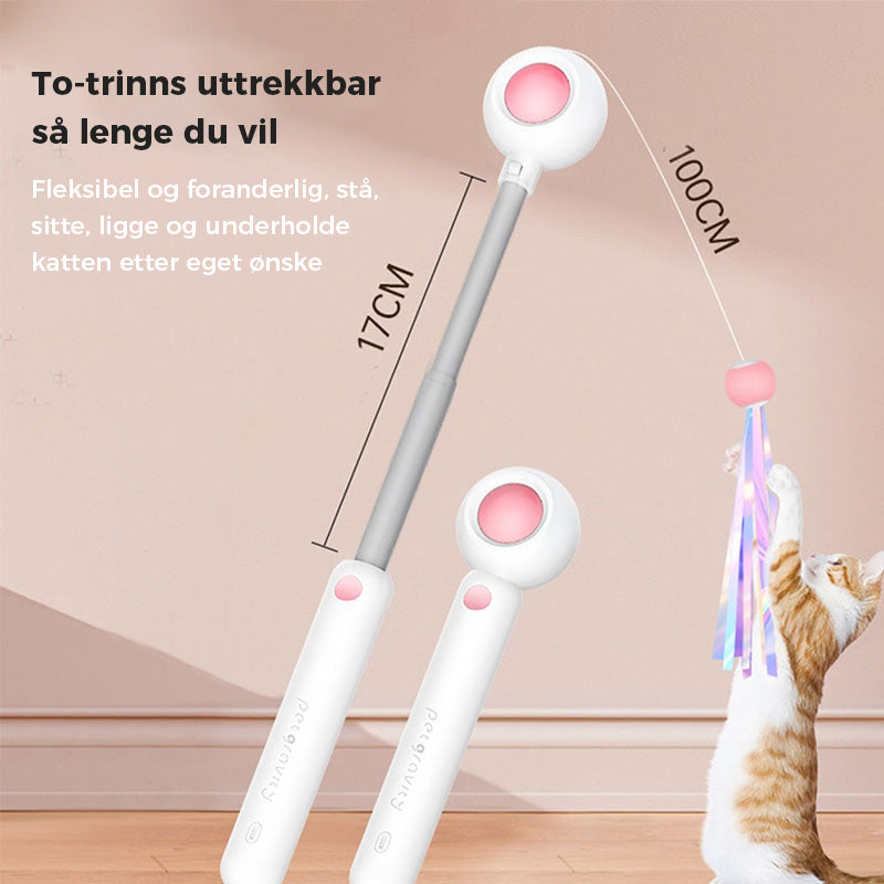 Kjæledyr uttrekkbar laser kattteaser