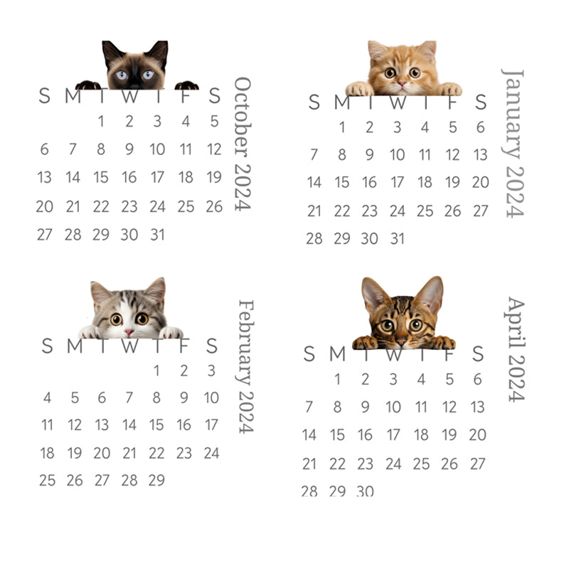 🐱2024 skrivebordskalender med kikkekatt