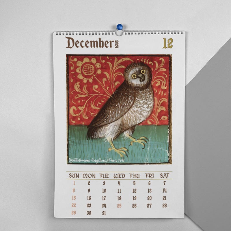 🦉Rare middelalderuglekalender 2024📅