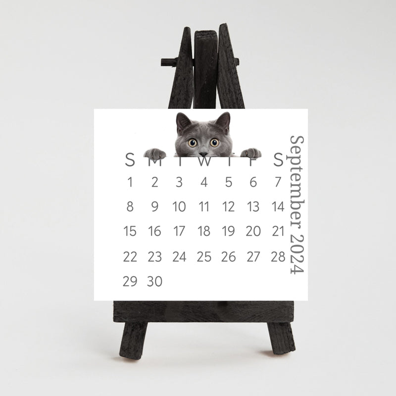 🐱2024 skrivebordskalender med kikkekatt